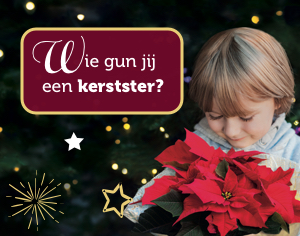 Verdient iemand volgens jou een kerstster?