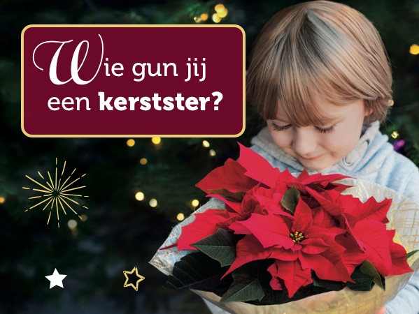 Verdient iemand volgens jou een kerstster?