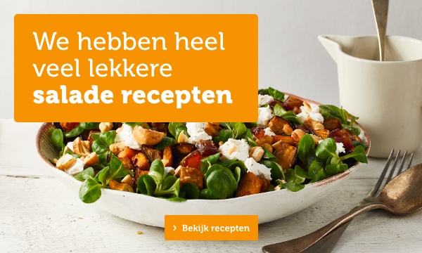 We hebben heel veel lekkere salade recepten | Bekijk recepten