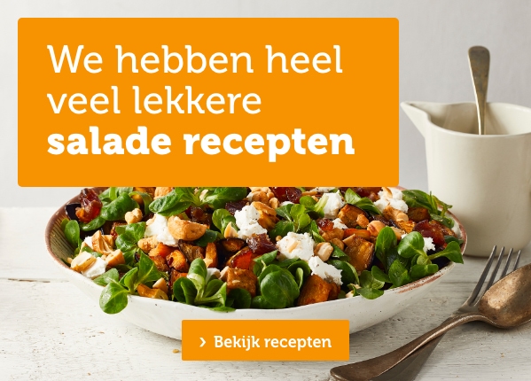 We hebben heel veel lekkere salade recepten | Bekijk recepten