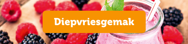 Diepvriesgemak