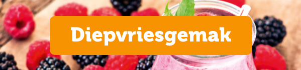 Diepvriesgemak