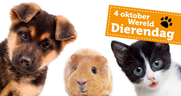 4 oktober | Wereld Dierendag