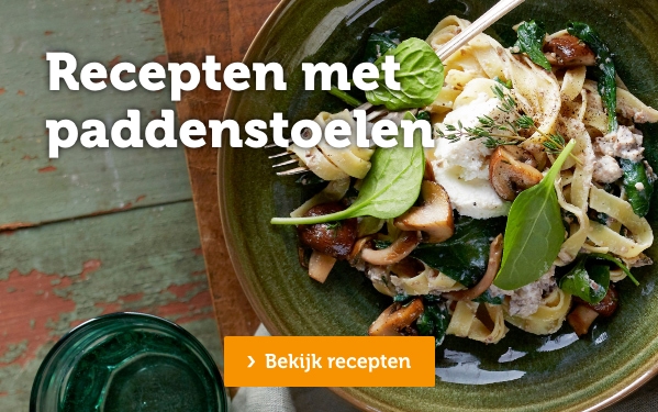 Recepten met paddenstoelen | Bekijk recepten