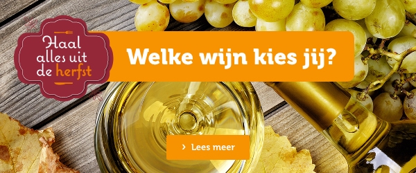 Welke wijn kies jij? | Lees meer