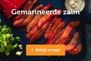 Gemarineerde zalm | Bekijk recept