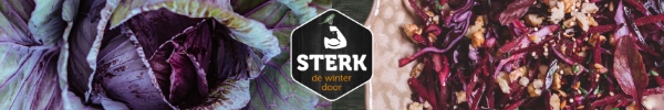 STERK de winter door