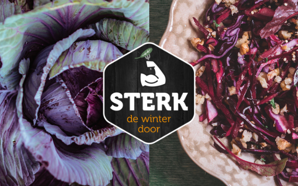 STERK de winter door