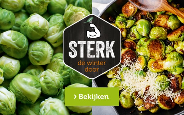 STERK de winter door | Bekijken