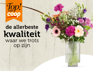 Top! van Coop bloemen