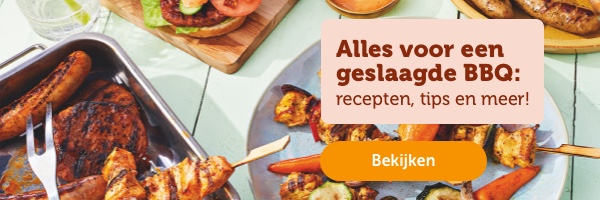 Alles voor een geslaagde BBQ: recepten, tips en meer!
