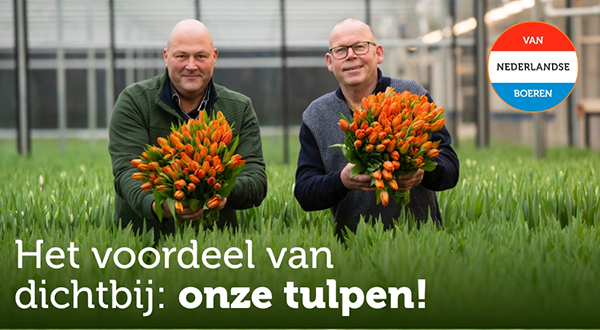 Het voordeel van dichtbij: onze tulpen!