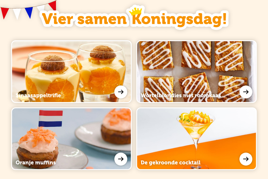 Vier samen Koningsdag!