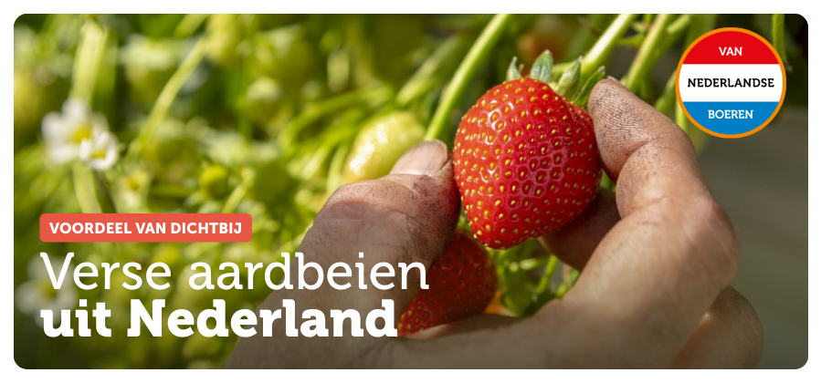 Verse aardbeien uit Nederland