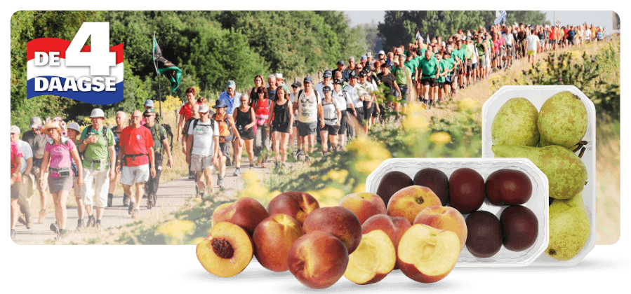 Handige snacks voor de Vierdaagse