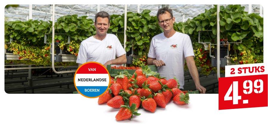 Het voordeel van dichtbij: onze aardbeien!