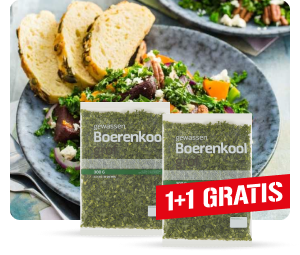 Warme boerenkoolsalade met geroosterde wintergroenten