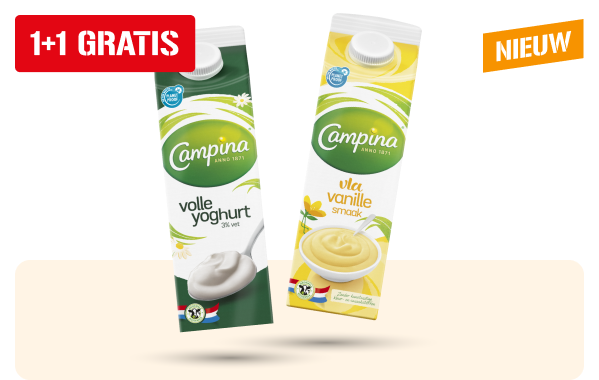 Campina yoghurt en vanille- of chocoladevla