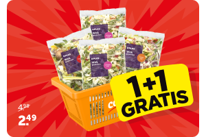 PLUS Wokgroenten