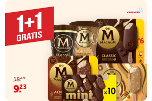 Alle Magnum IJs