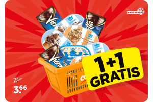 Hertog of Ola Viennetta IJs