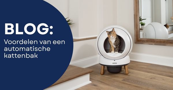 Combinatie 1