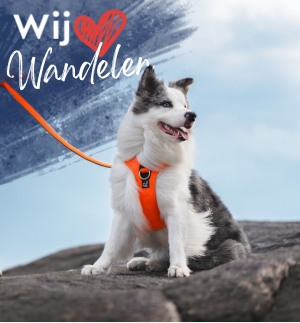 Wandelen met hond