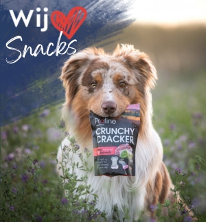 Hondensnacks