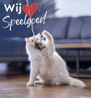 Kattenspeelgoed