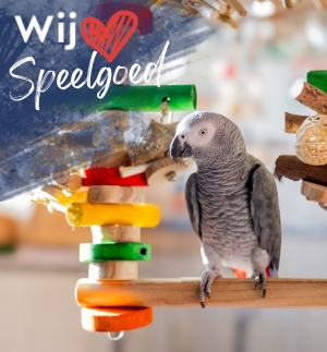 Papegaaienspeelgoed