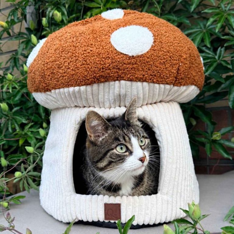 Kurgo Rover Extra Brede Honden-Autohangmat Zwart