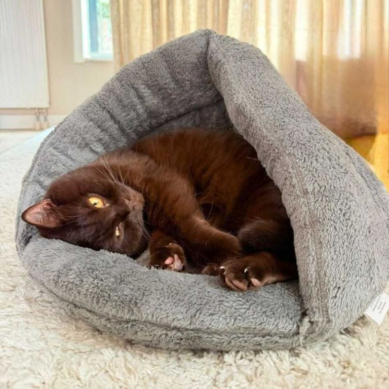 4Pets Crash-bag Noir - Maat 3