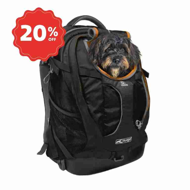 Hond