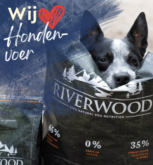 Hondenvoer