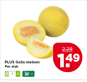 PLUS Galia meloen