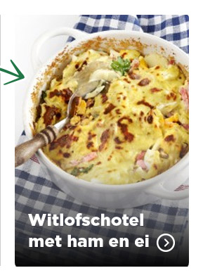 PLUS Witlof recept