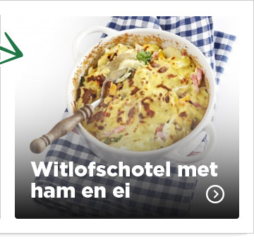 Witlof recept
