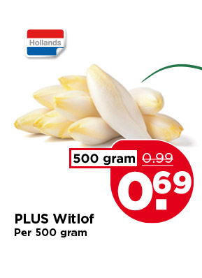 PLUS Witlof