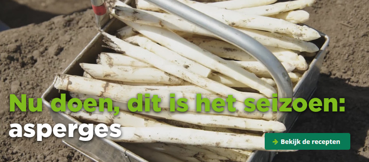Nu doen, dit is het seizoen: asperges | Bekijk de recepten