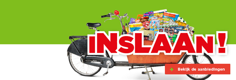 Inslaan!