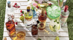 Let’s cocktail Let’s cocktail