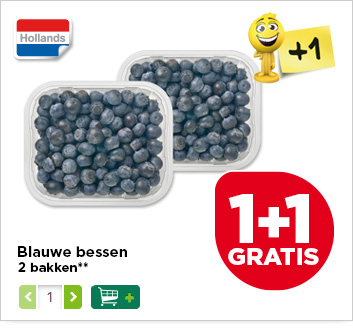 Blauwe bessen