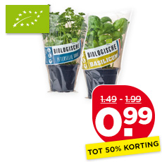 Verse biologische kruiden in pot