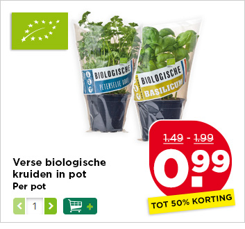 Verse biologische kruiden in pot