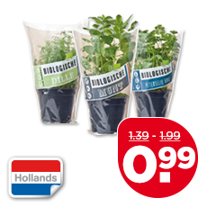 Biologische kruiden