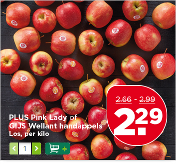 PLUS Pink Lady of GIJS Wellant handappels