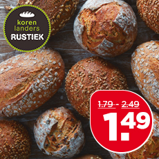 PLUS Korenlanders Rustiek brood