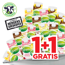Campina Vla