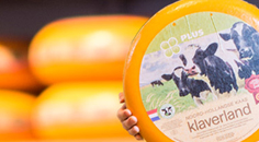 Het geheim van Klaverland Het geheim van Klaverland