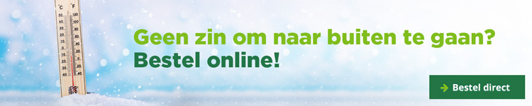 Geen zin om naar buiten te gaan? Bestel online!